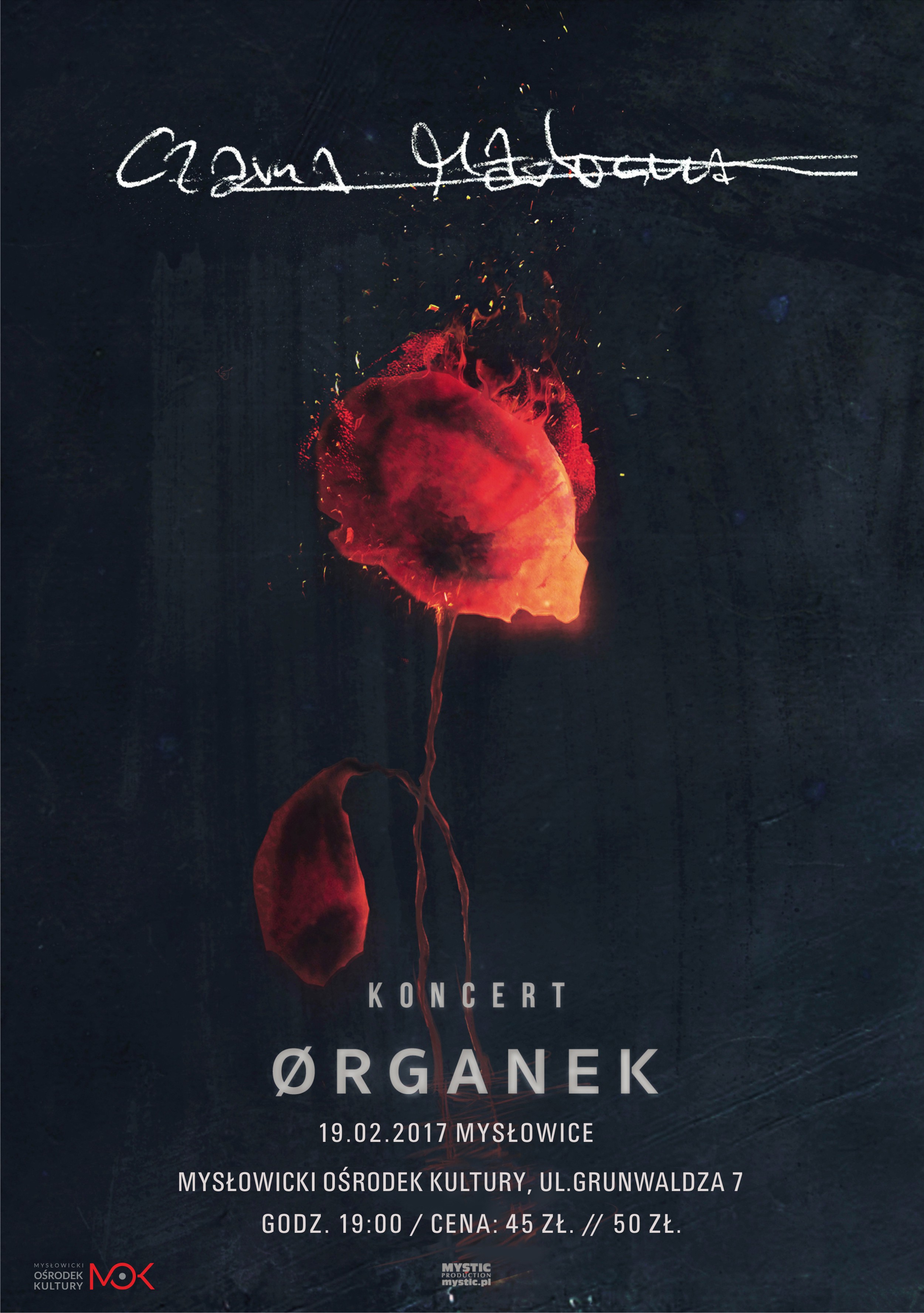 19.02 - Organek